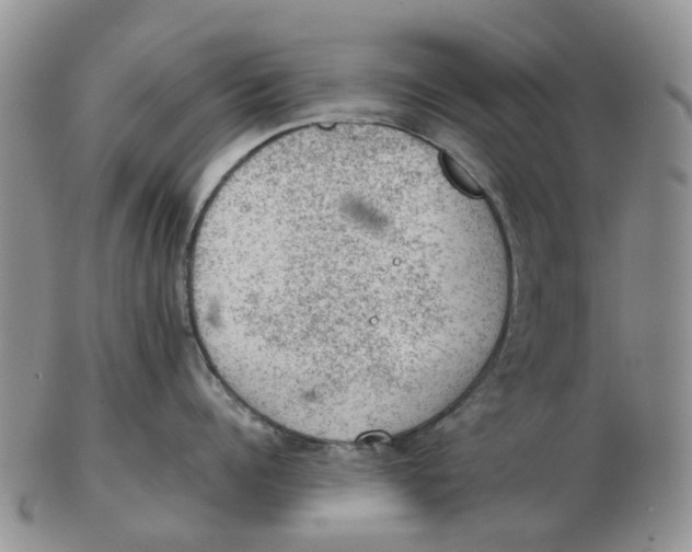 X0000103160960200809121835