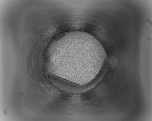 X0000103160961200809121834