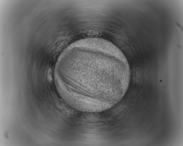 X0000103160962200809121834