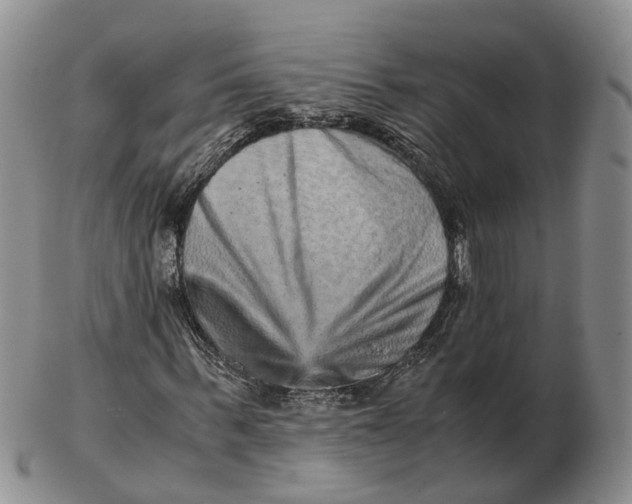 X0000103160963200809121834