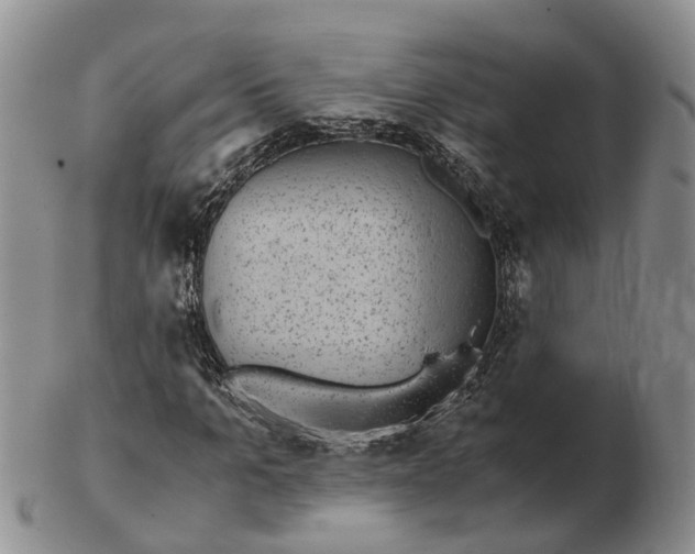 X0000103160965200809121834