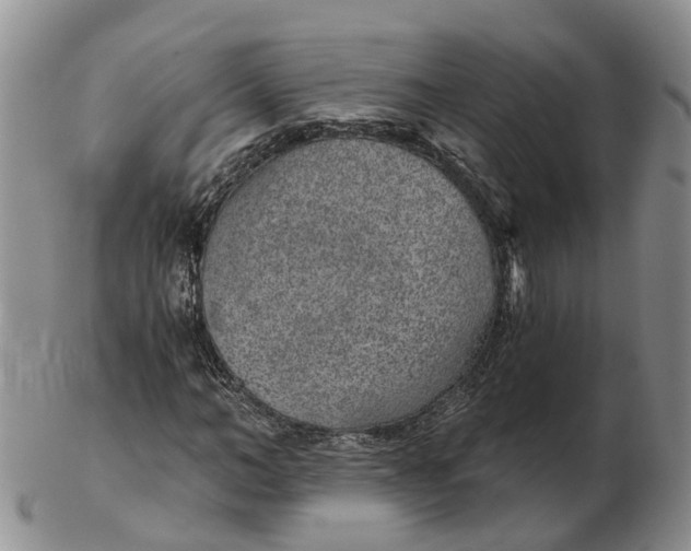 X0000103160966200809121834