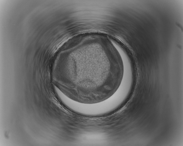 X0000103160969200809121834