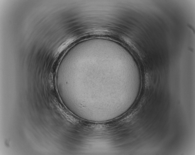 X0000103160970200809121834