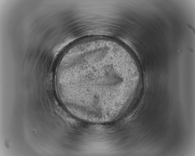 X0000103160971200809121834