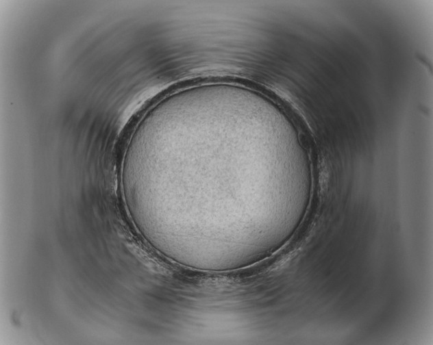 X0000103160973200809121834