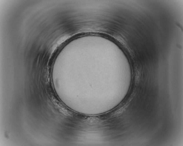 X0000103160974200809121834