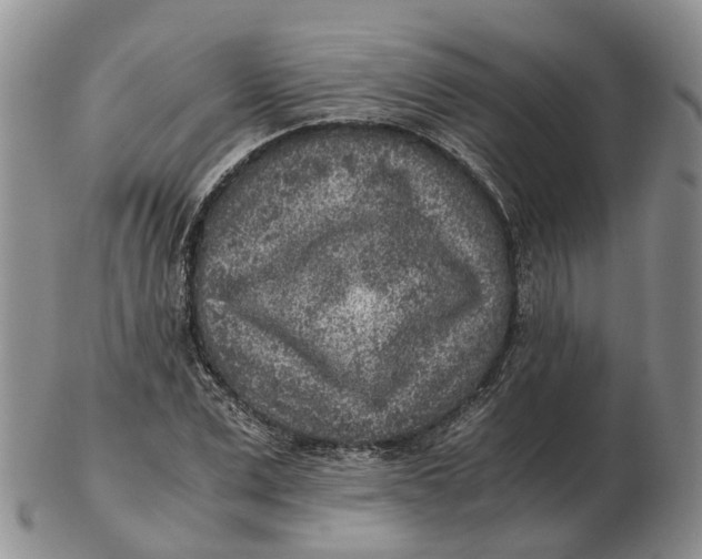 X0000103160975200809121834