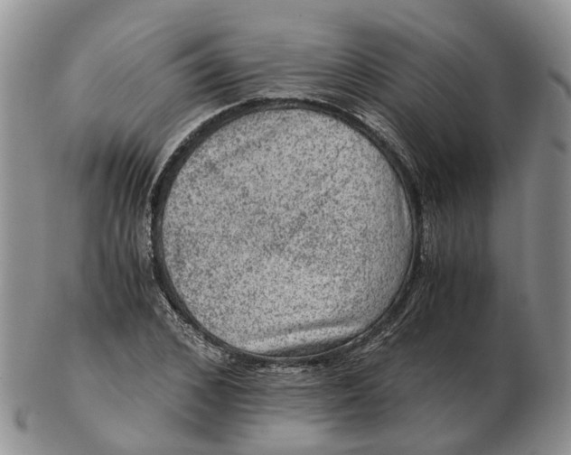 X0000103160976200809121834