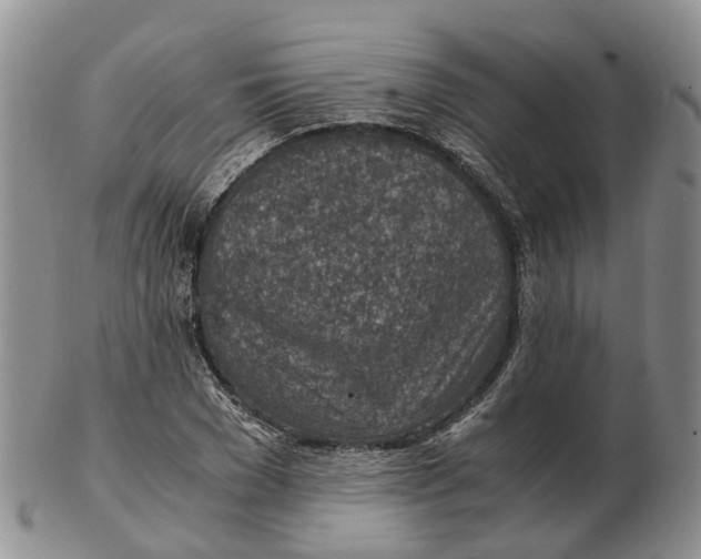 X0000103160977200809121834