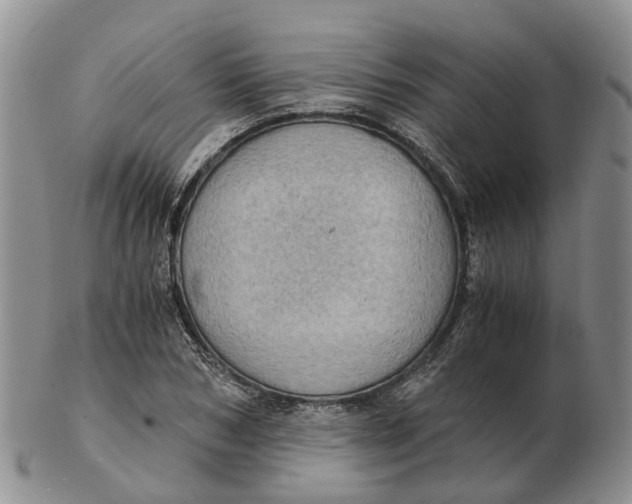 X0000103160978200809121834