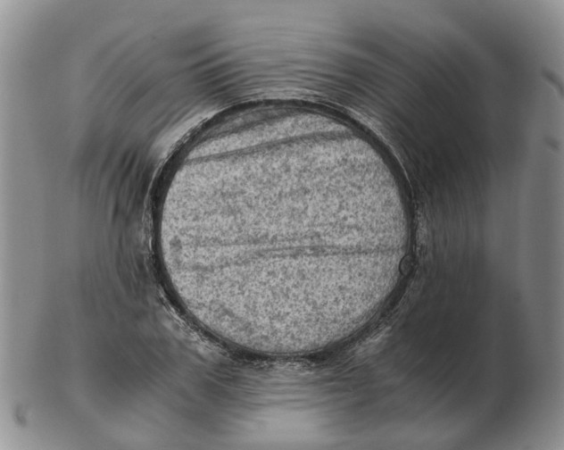 X0000103160979200809121834