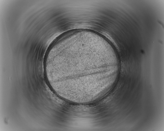 X0000103160980200809121834