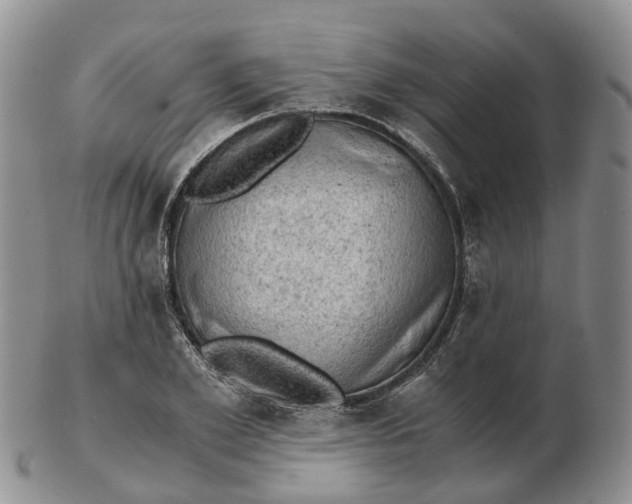 X0000103160981200809121834