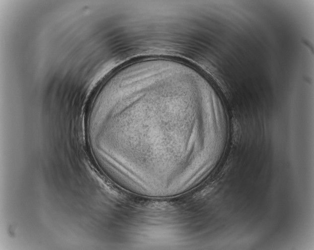 X0000103160982200809121834