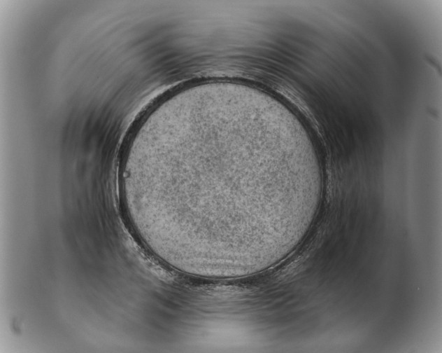 X0000103160984200809121834