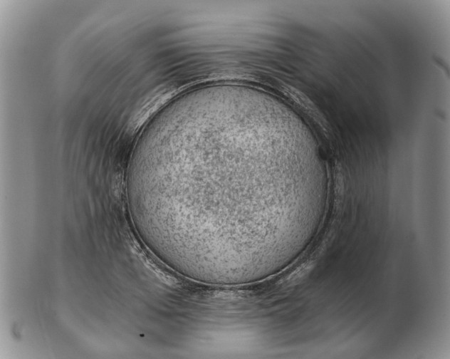 X0000103160985200809121834