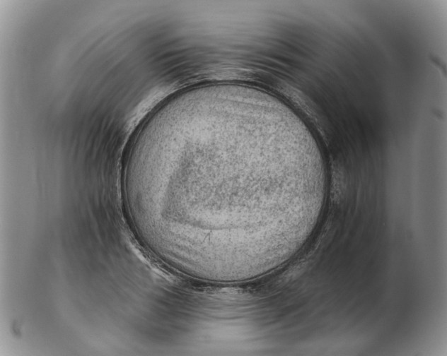 X0000103160986200809121834