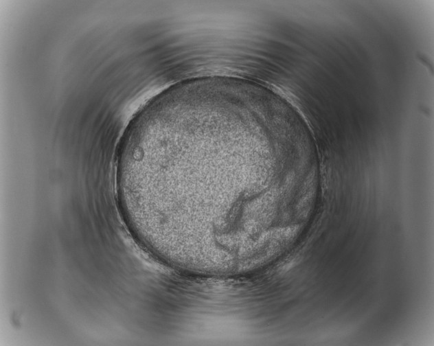 X0000103160987200809121834