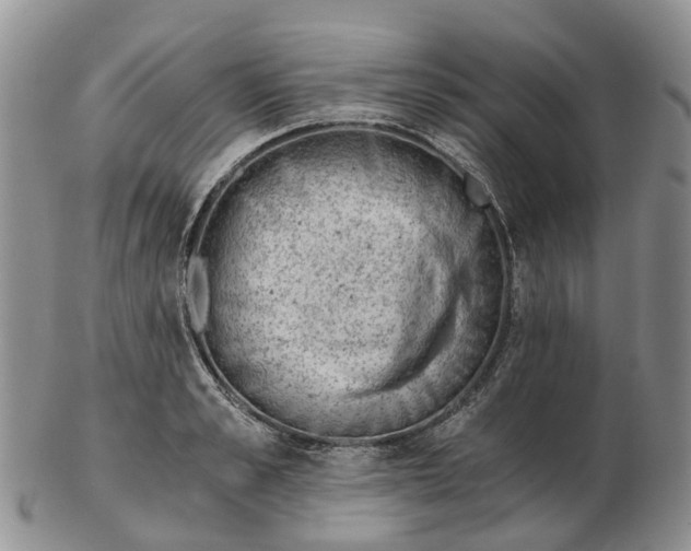 X0000103160989200809121834