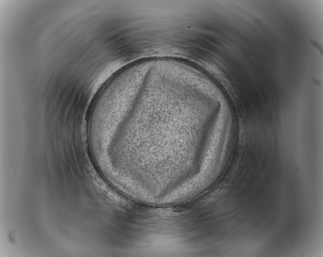 X0000103160990200809121834