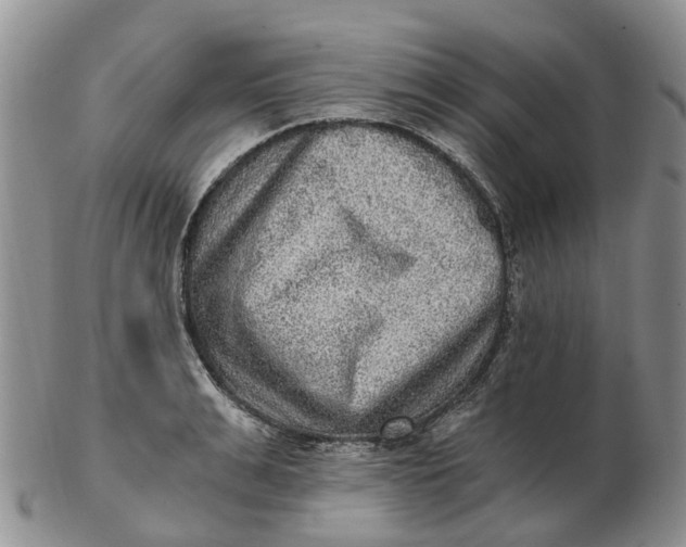 X0000103160991200809121834