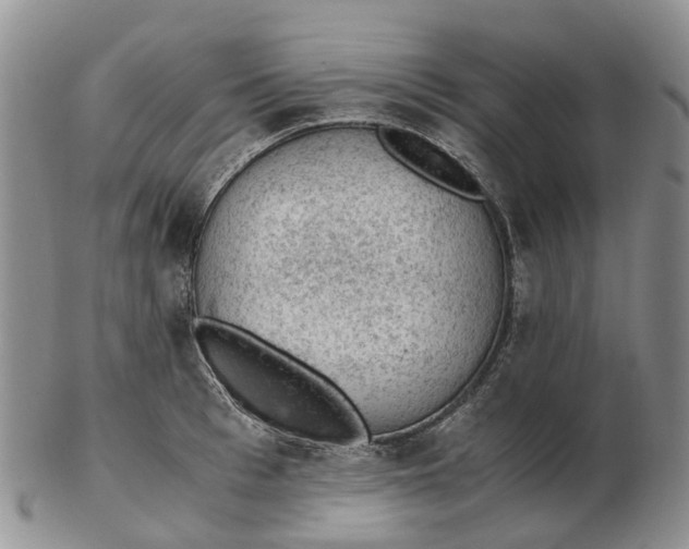 X0000103160993200809121834