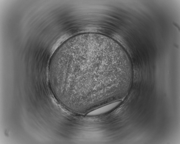 X0000103160994200809121834