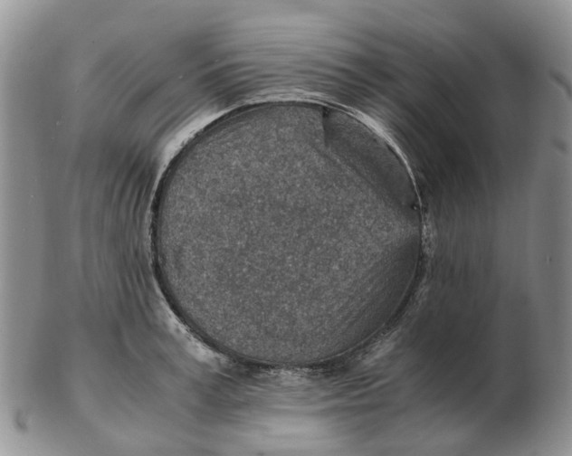 X0000103160995200809121834