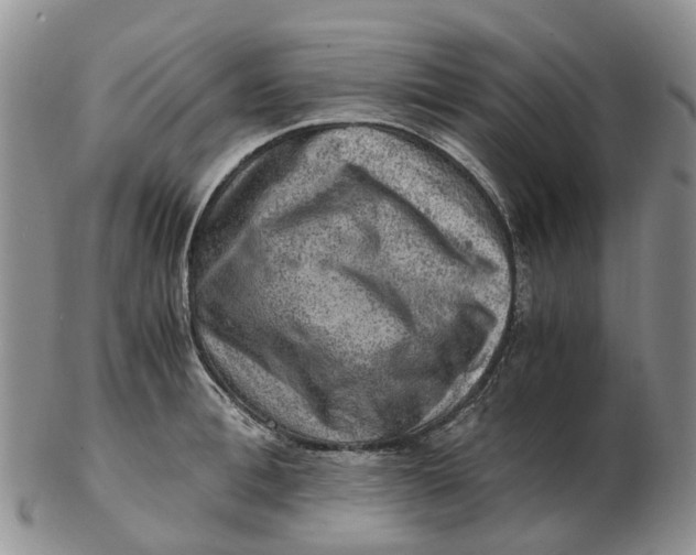 X0000103160996200809121834