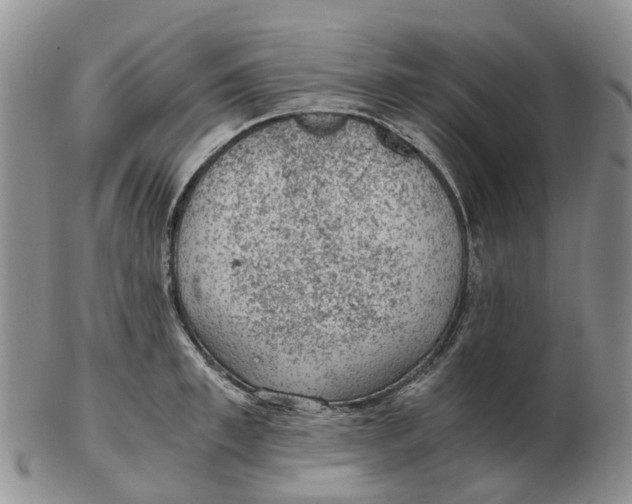 X0000103160997200809121834