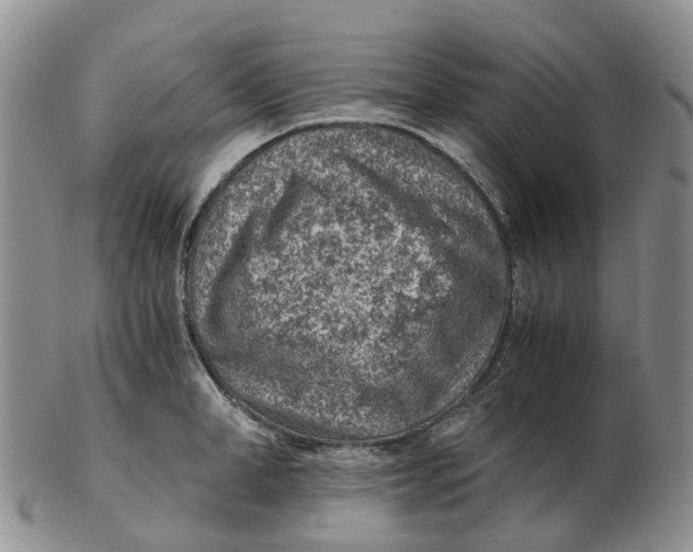 X0000103160998200809121834