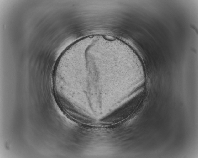 X0000103160999200809121834