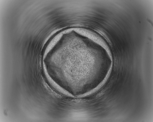 X0000103161000200809121834