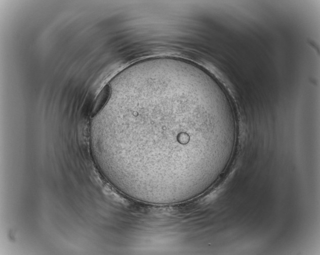 X0000103161001200809121834