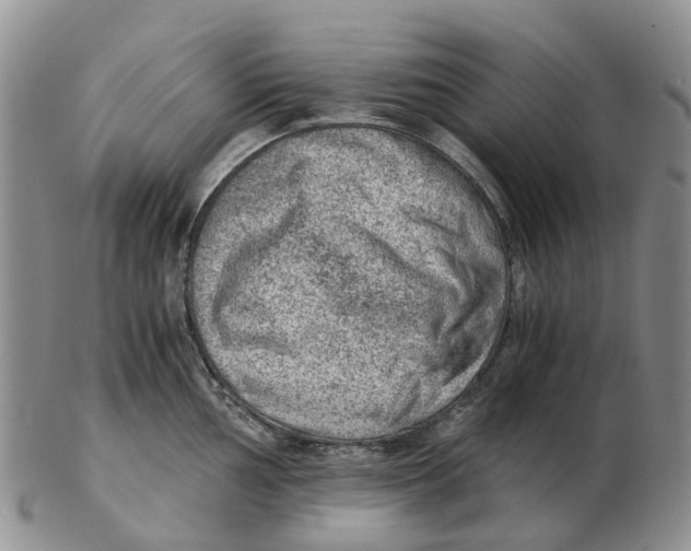 X0000103161002200809121834