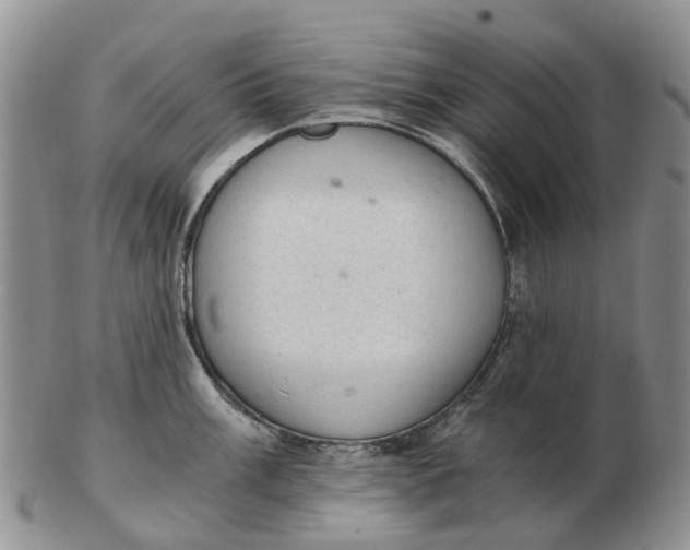 X0000103161003200809121834