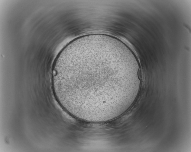 X0000103161005200809121834