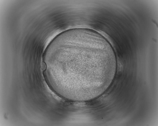 X0000103161006200809121834