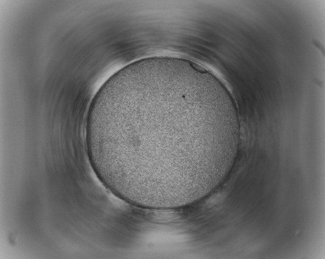 X0000103161007200809121834