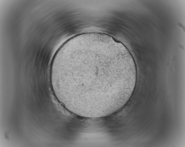 X0000103161008200809121834