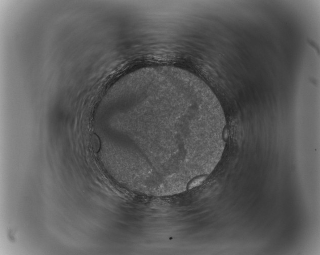 X0000103161009200809121833