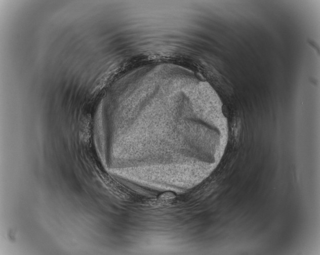 X0000103161012200809121833