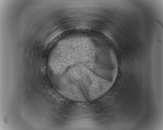 X0000103161015200809121833