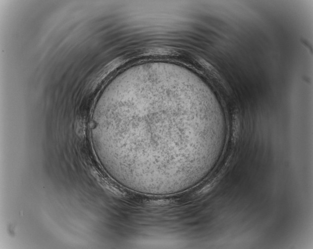 X0000103161017200809121833