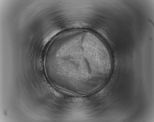 X0000103161018200809121833