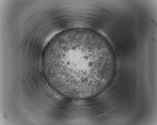 X0000103161019200809121833