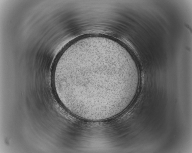 X0000103161020200809121833