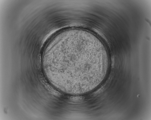 X0000103161021200809121833