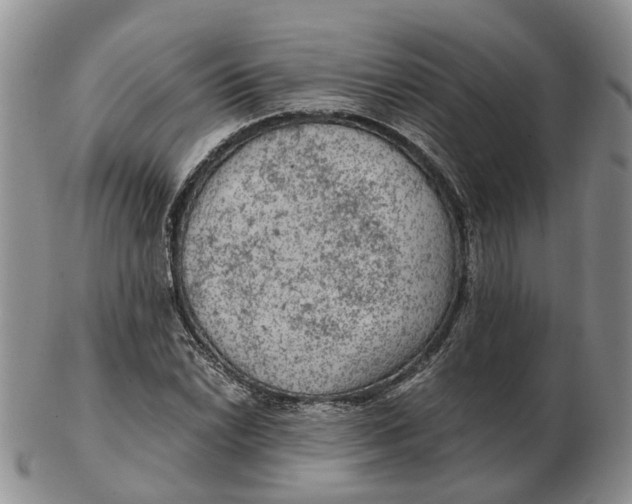 X0000103161022200809121833